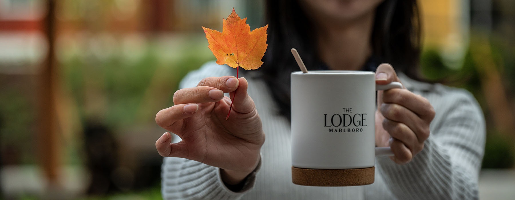 gallery image header of a leaf and coffee mug at the lodge apartments in marlboro ma